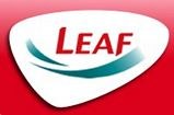 tn-leaf.jpg